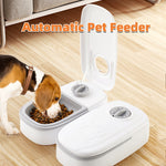 A sleek gray automatic pet feeder with a single meal bowl open, filled with fresh dry cat kibble